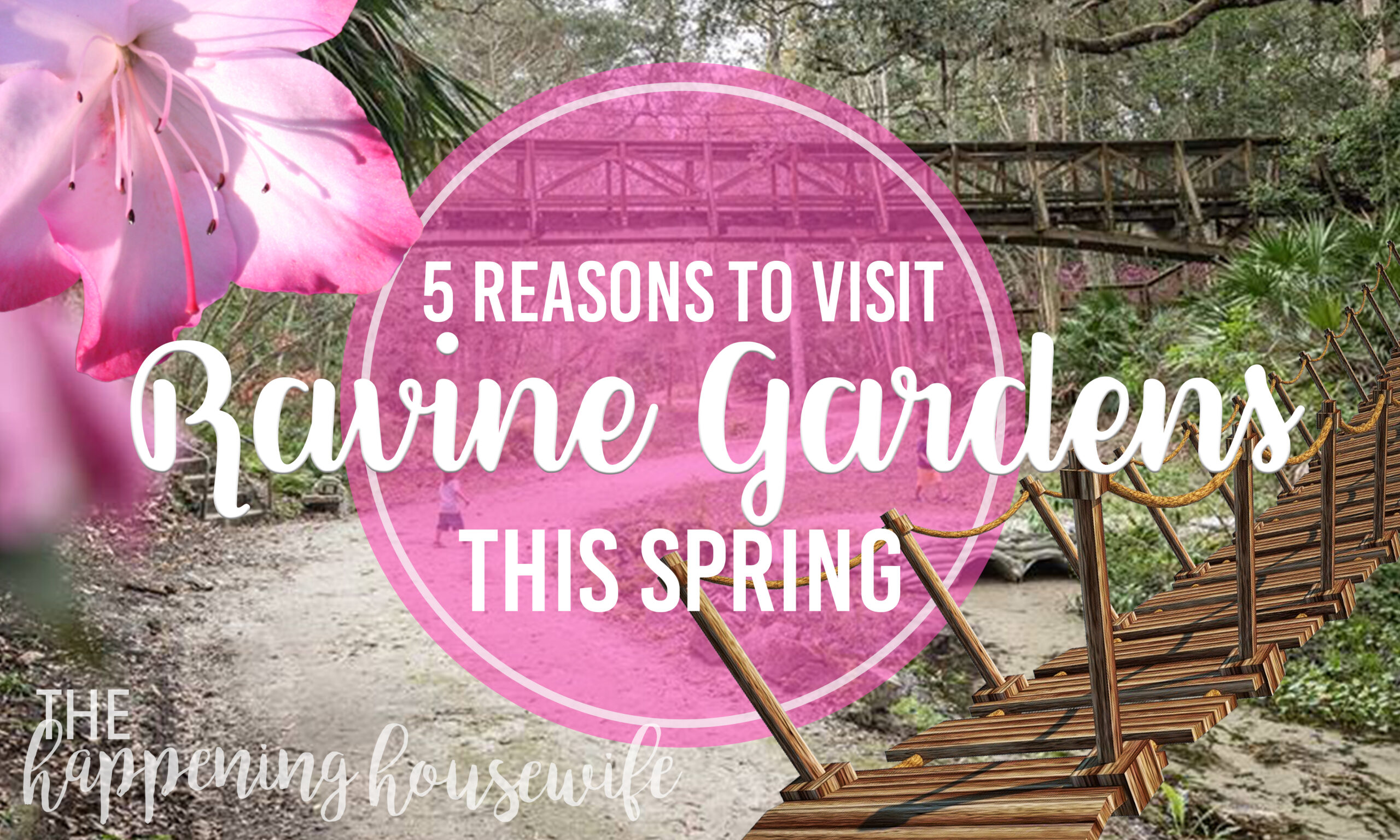5 Reasons to Visit: Ravine Gardens State Park