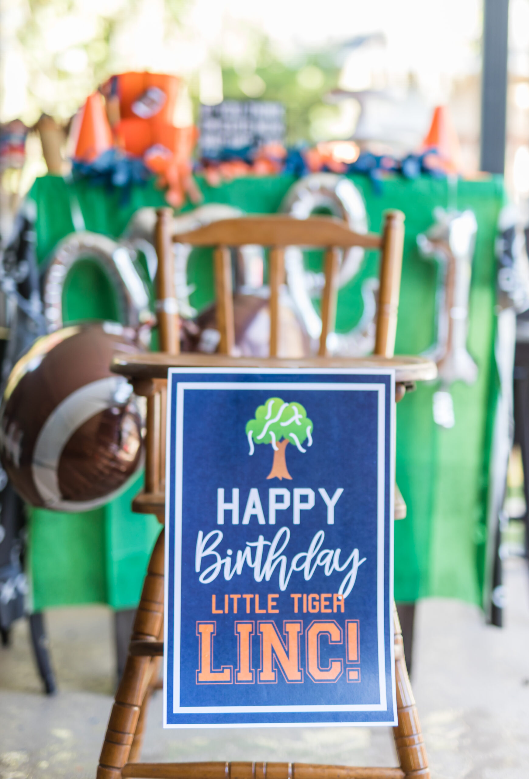 Lincolns One Birthday (42 of 48)