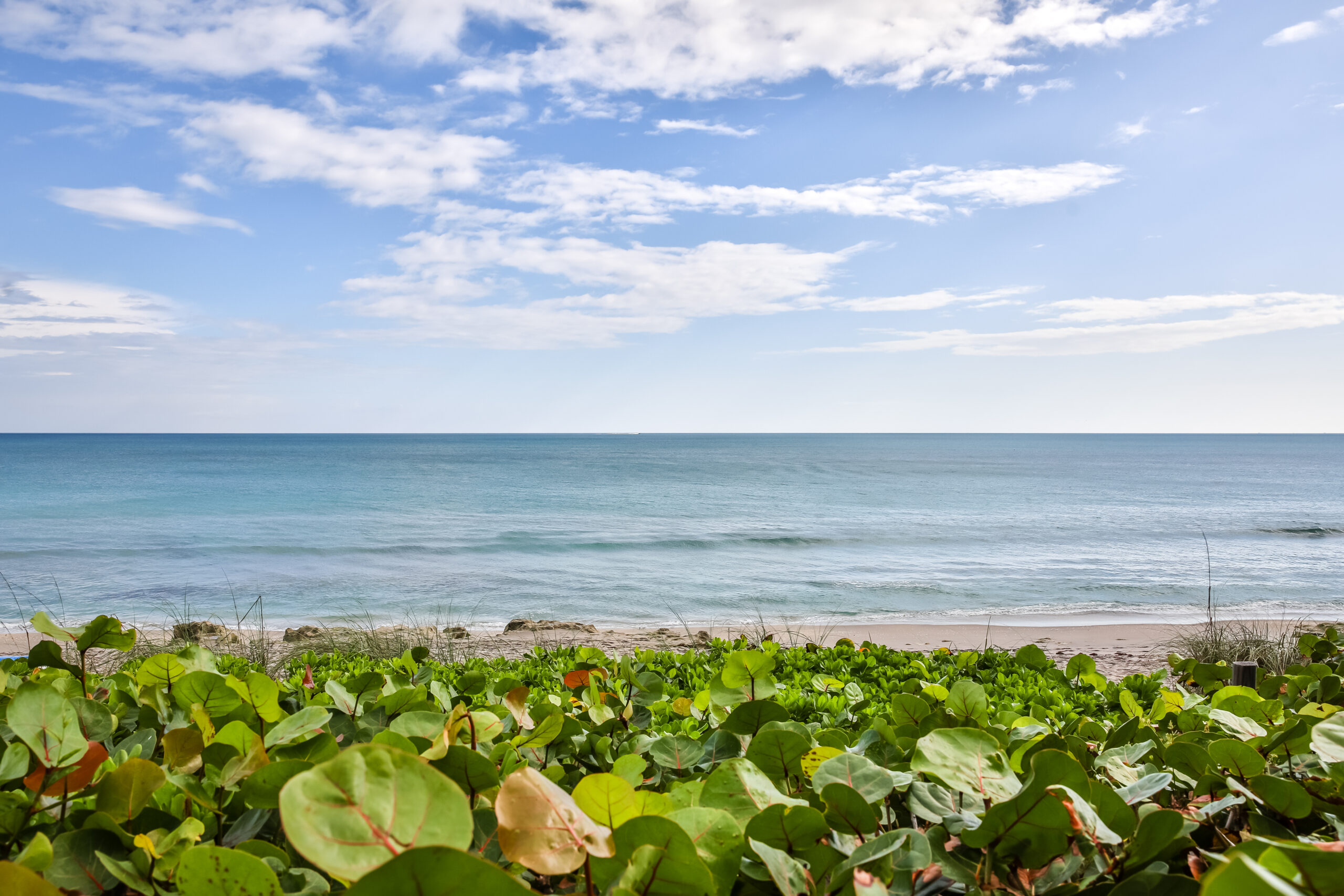 OpalResorts (627 of 1307)
