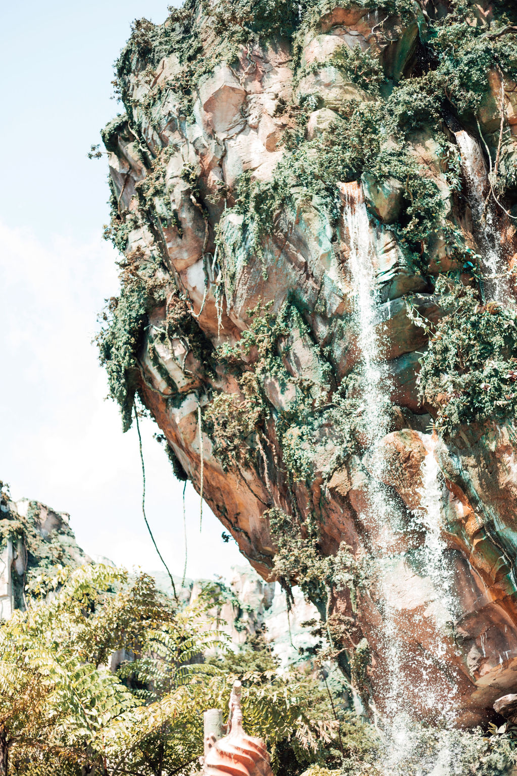WaltDisneyWorldAFTERCOVID!!SafetyReviewandDayatAnimalKingdom!!KNOWBEFOREYOUGO-DisneyWorldCOVID-63