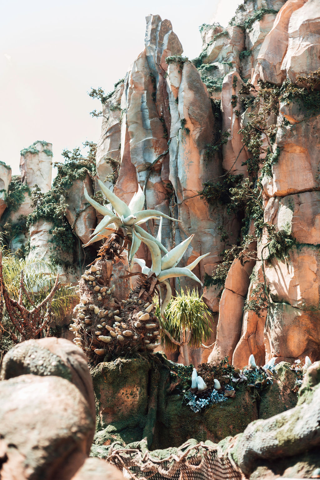 WaltDisneyWorldAFTERCOVID!!SafetyReviewandDayatAnimalKingdom!!KNOWBEFOREYOUGO-DisneyWorldCOVID-65