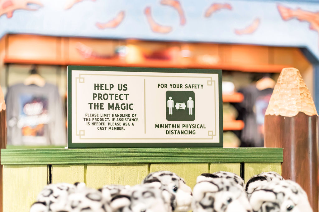 WaltDisneyWorldAFTERCOVID!!SafetyReviewandDayatAnimalKingdom!!KNOWBEFOREYOUGO-DisneyWorldCOVID-85