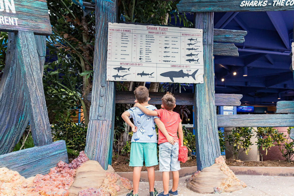 How to Homeschool at SeaWorld!! FREE Day Guide to Learning at SeaWorld!