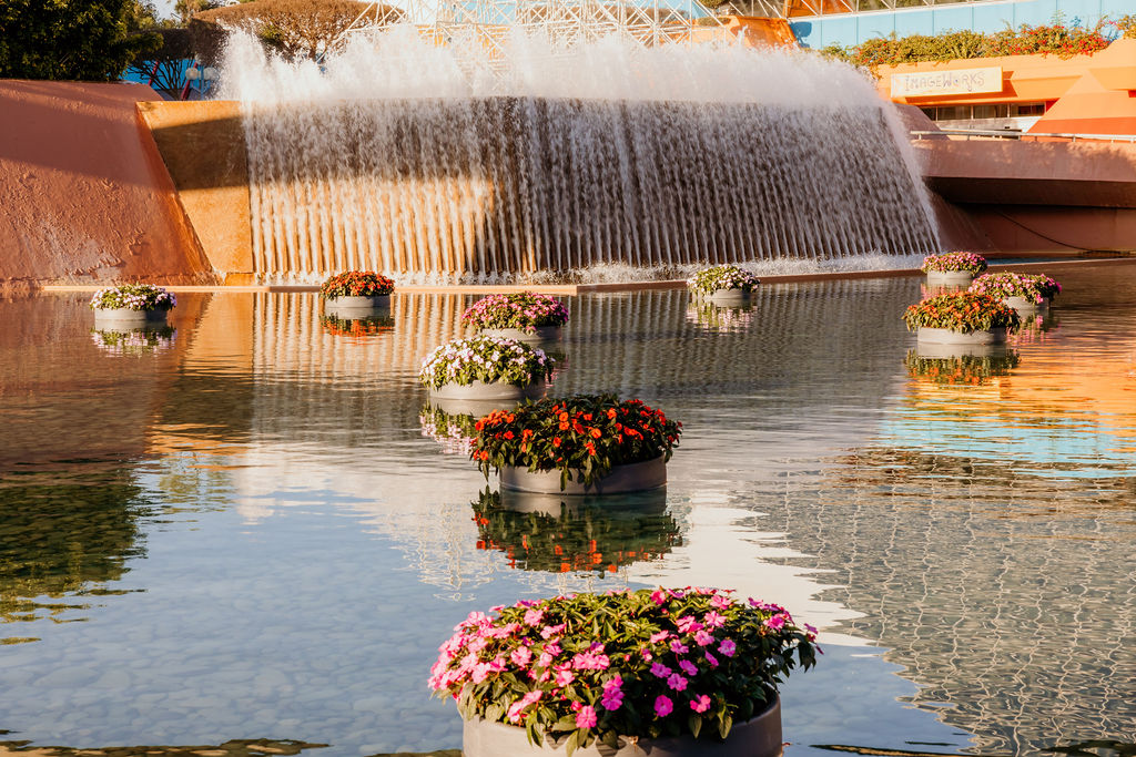 EPCOT Flower and Garden 2022V