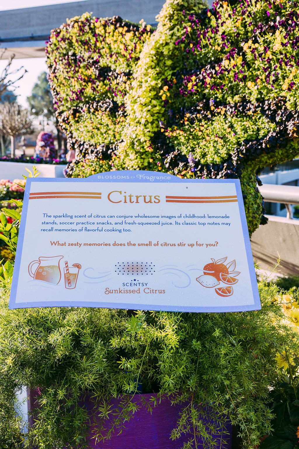 NEW at EPCOT Flower and Garden festival 2022